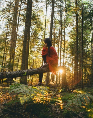 Levensomschrijving Joyce